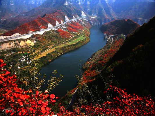 3320d163d6.jpg 7474925262370ec9b276bfda864672f0_w800_h400_c0_t0.jpg