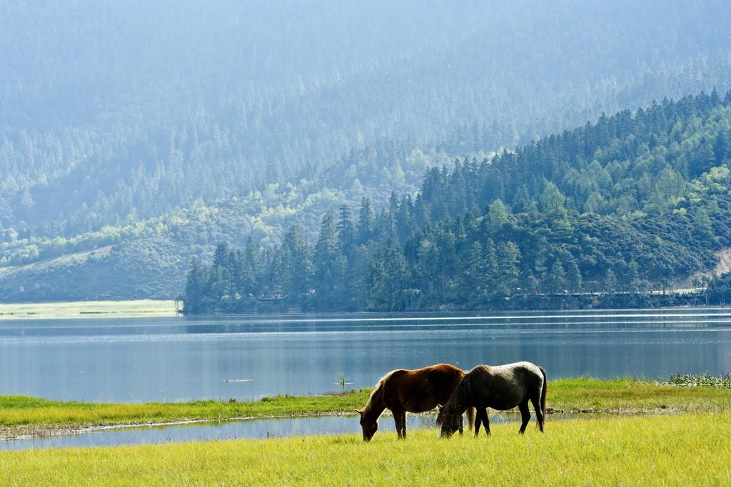 75eb2bb917.jpg timg.jpg